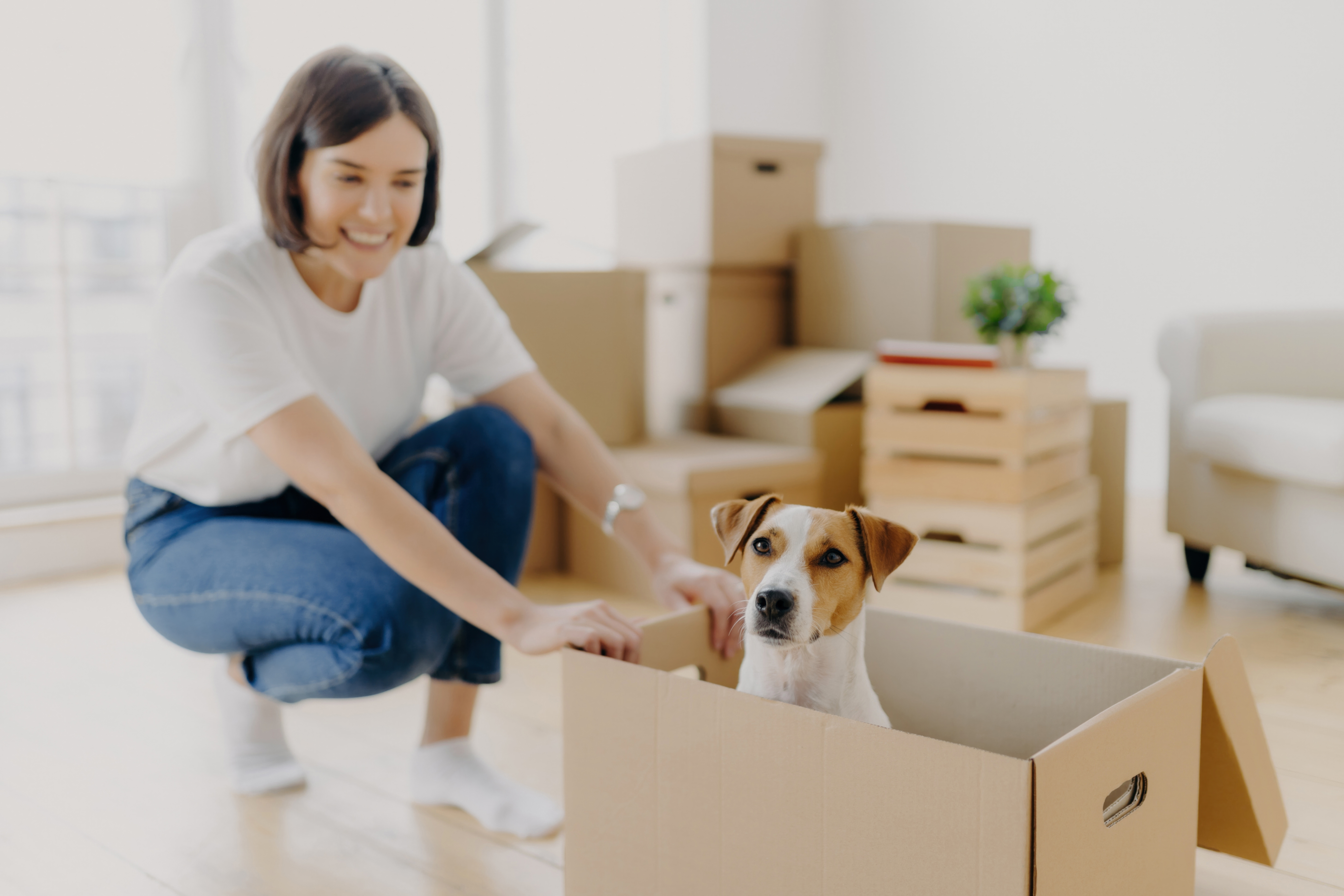 The Ultimate Guide to Stress-Free Moving: Move Out Cleaning Services by Go To Girl Solutions
