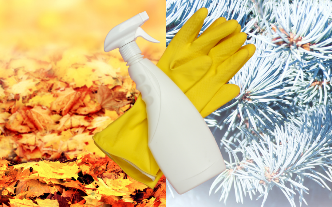 Seasonal Cleaning Tips for Fall and Winter: Keep Your Home Cozy and Fresh